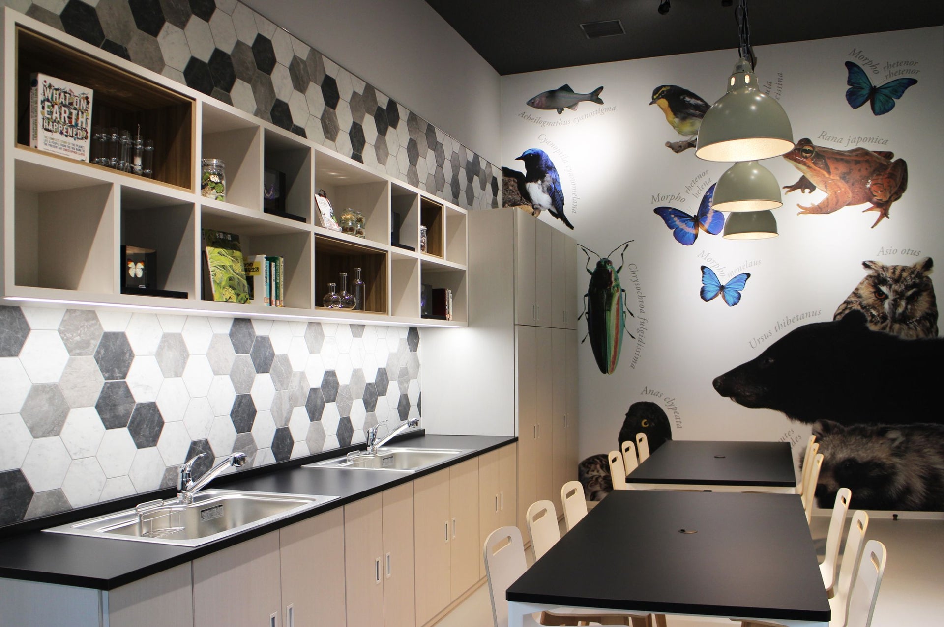 滋賀県立琵琶湖博物館